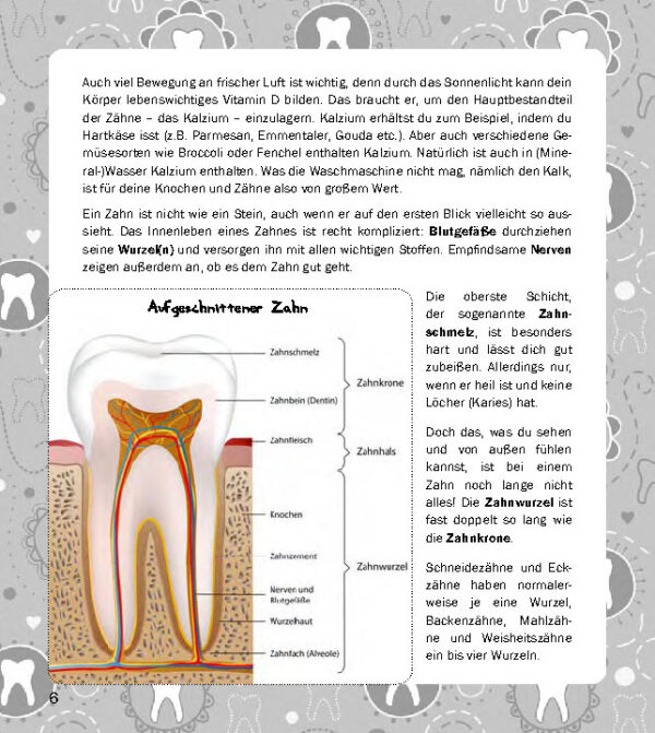 Alle meine Zähne - Zahnkalender (Innenansicht)