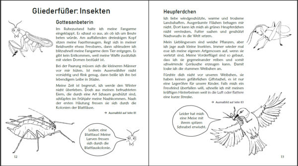 Ausmalspaß + Wissen: Fantatiere. Malbuch ab 6 Jahre. SOWAS!-Reihe (Innenansicht)