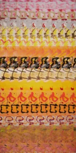 DSC 3781